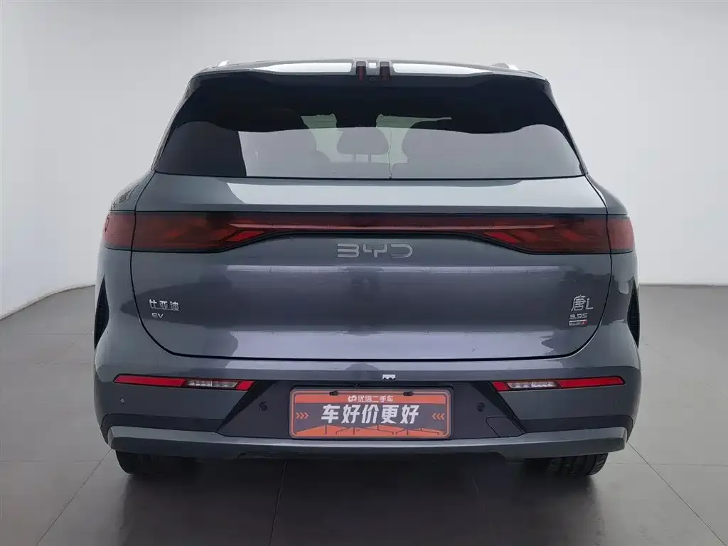 BYD Tang L — фото 10