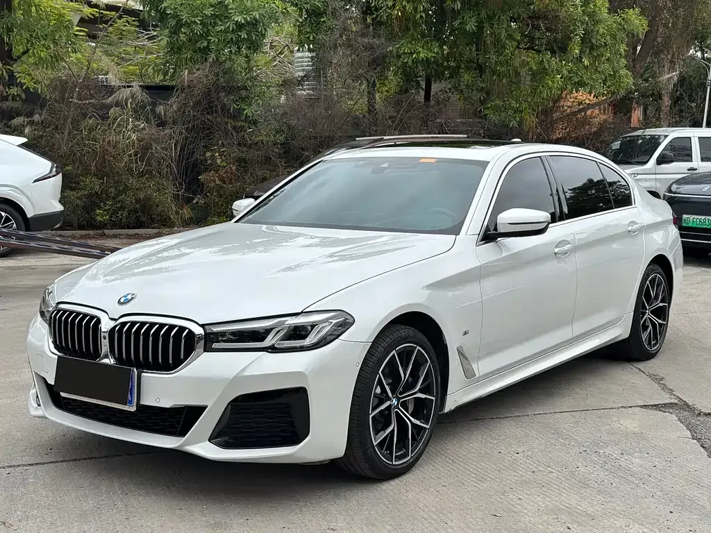 BMW 5 Series 2023 из CN, фото 1
