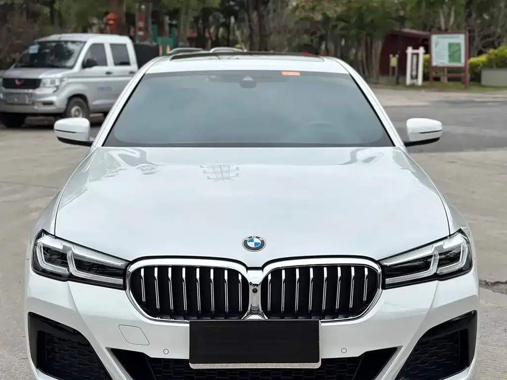 BMW 5 Series 2023 из CN, фото 2