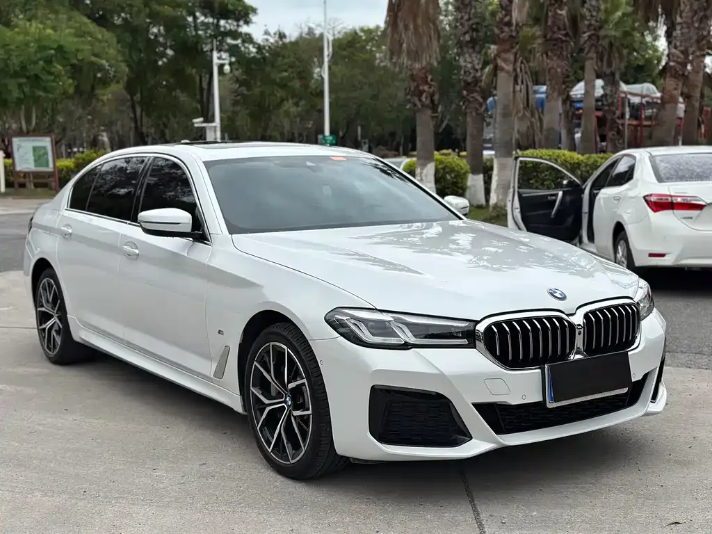 BMW 5 Series 2023 из CN, фото 7