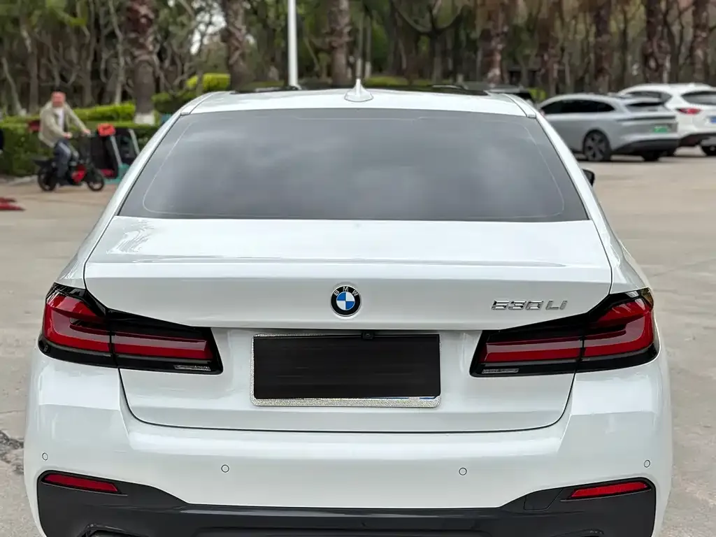 BMW 5 Series 2023 из CN, фото 3