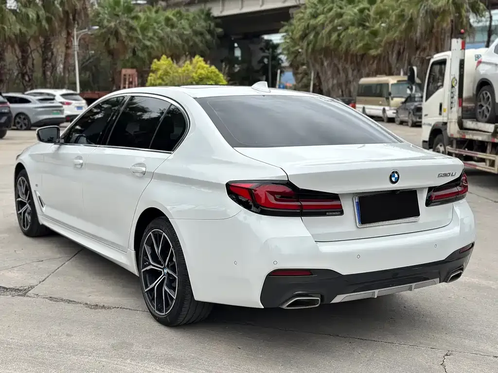 BMW 5 Series 2023 из CN, фото 9