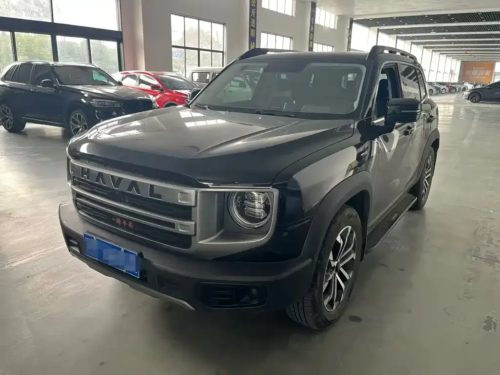 Haval Big Dog 2024 из CN, фото 1
