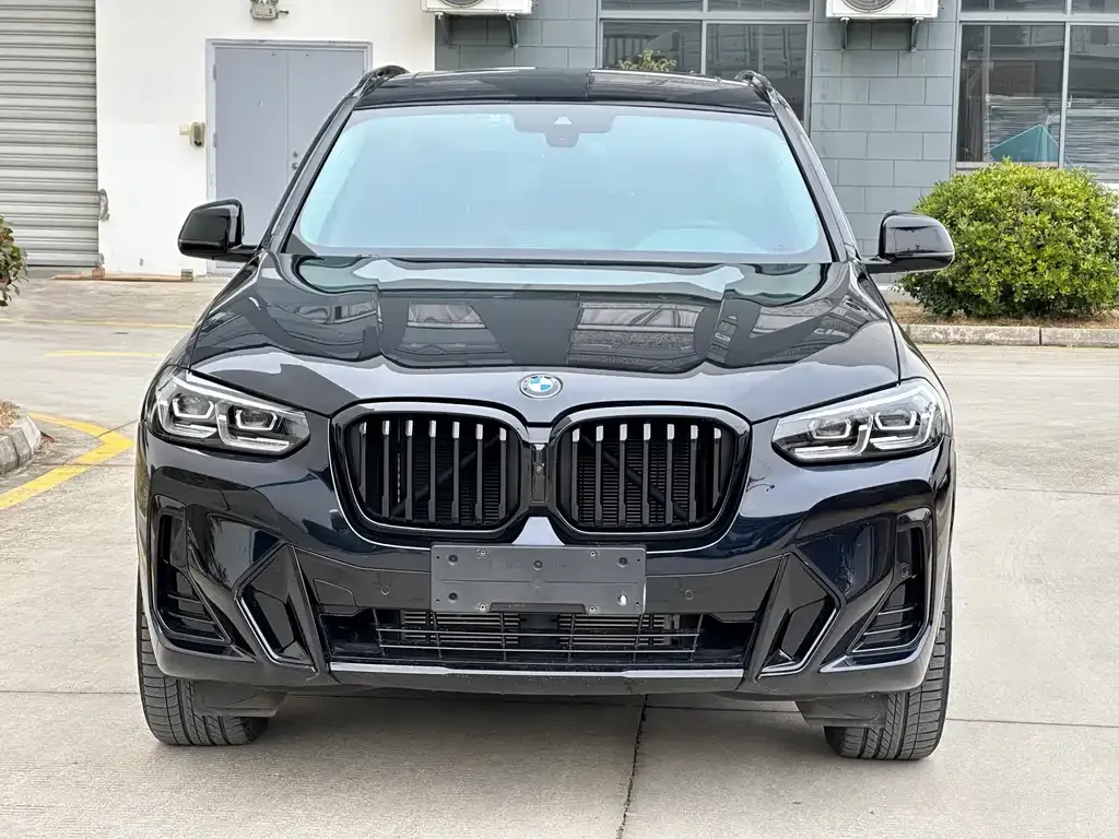 BMW X3 2024 из CN, фото 8