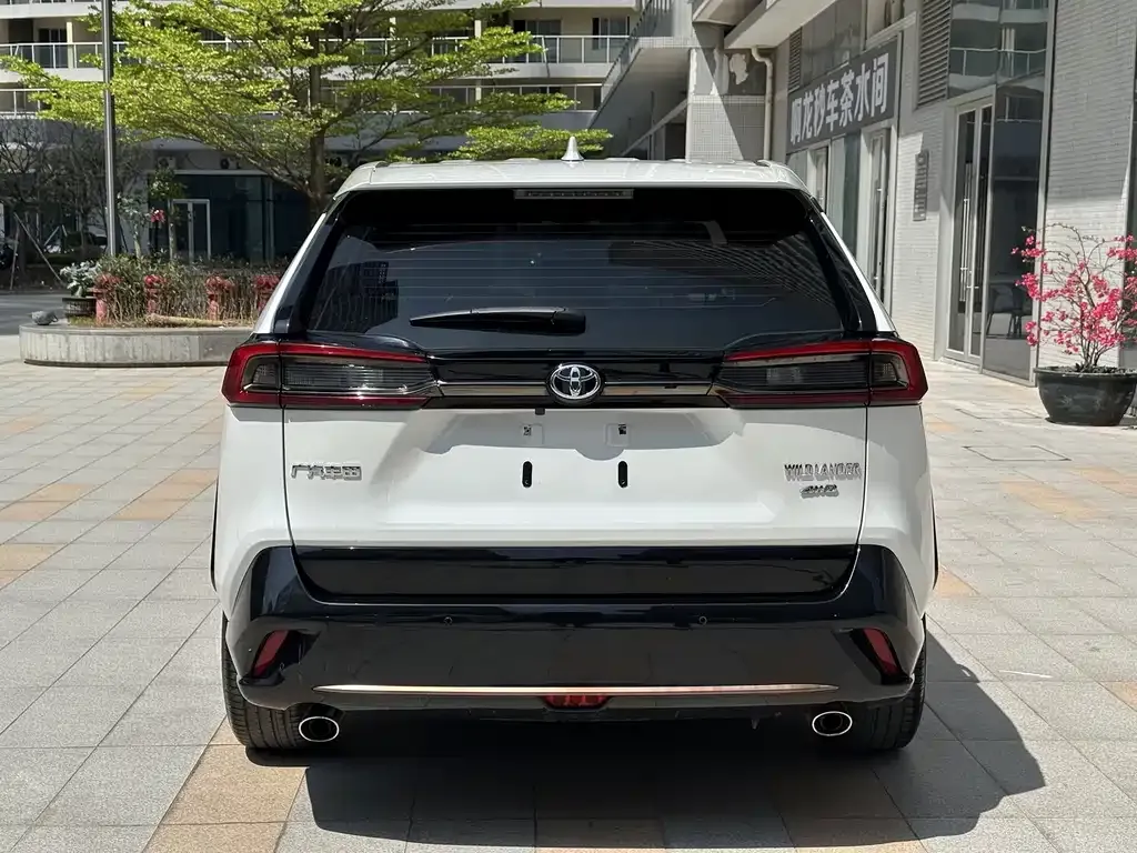 Toyota Wildlander 2023 из CN, фото 8