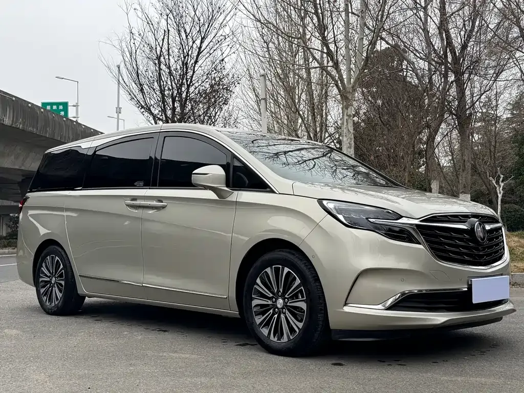 Buick GL8 2021 из CN, фото 9