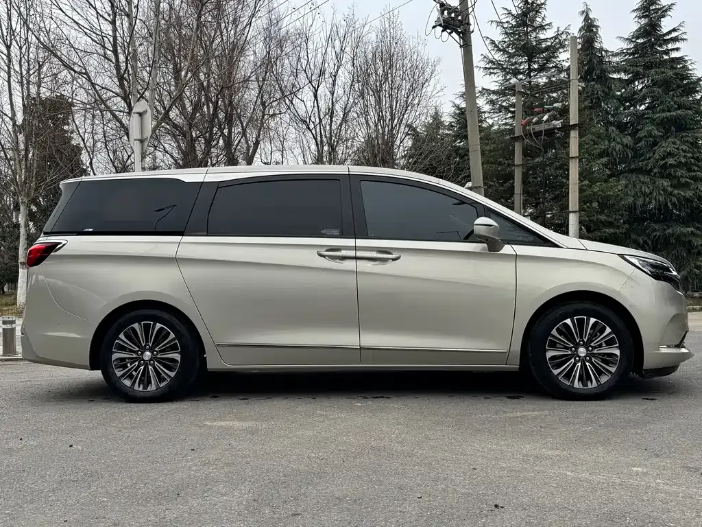 Buick GL8 2021 из CN, фото 10