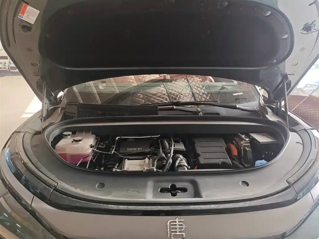 BYD Tang L 2025 из CN, фото 6