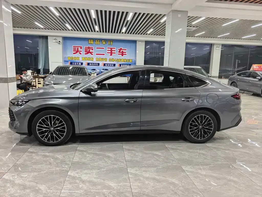 BYD Qin L 2024 из CN, фото 9