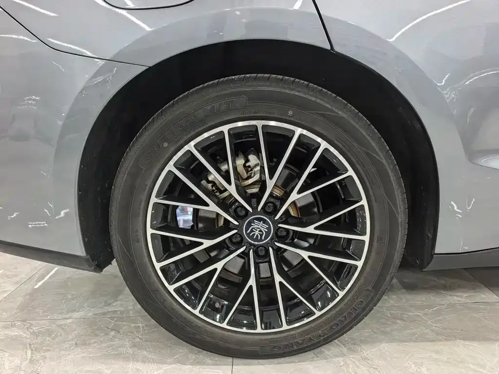 BYD Qin L 2024 из CN, фото 6