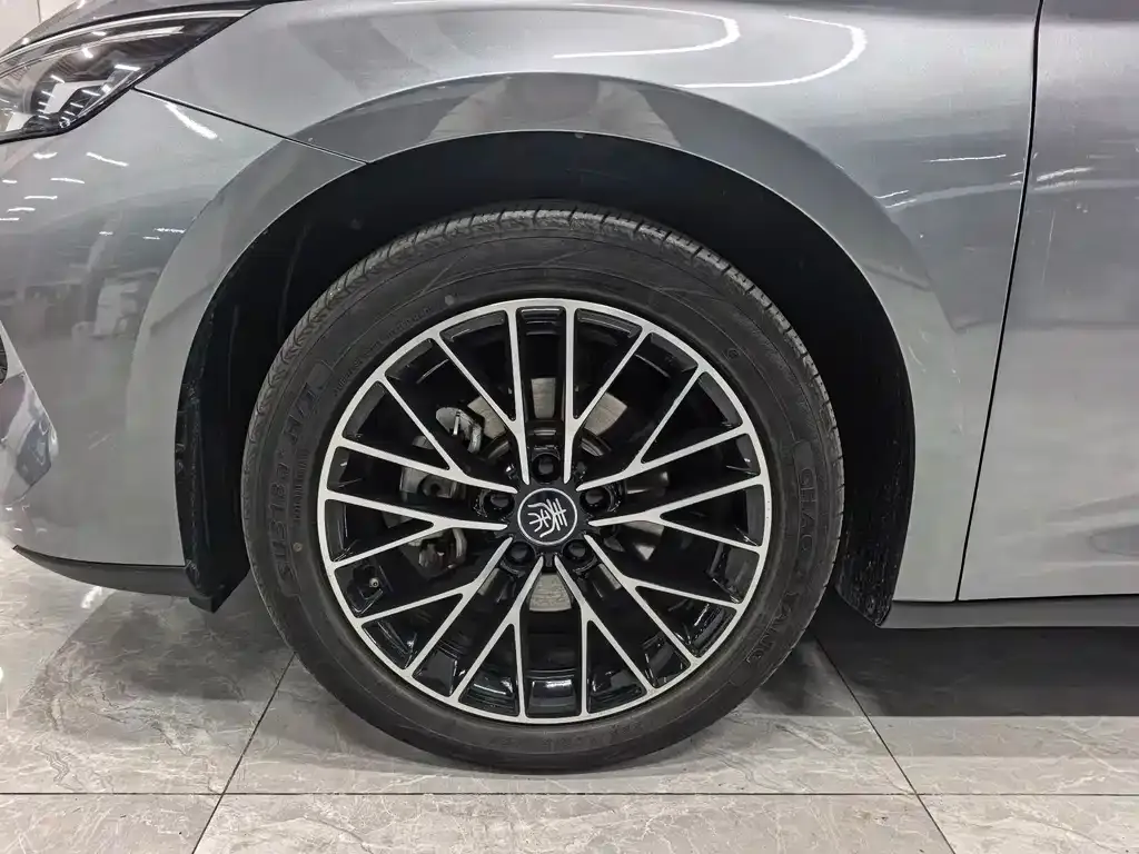 BYD Qin L 2024 из CN, фото 7