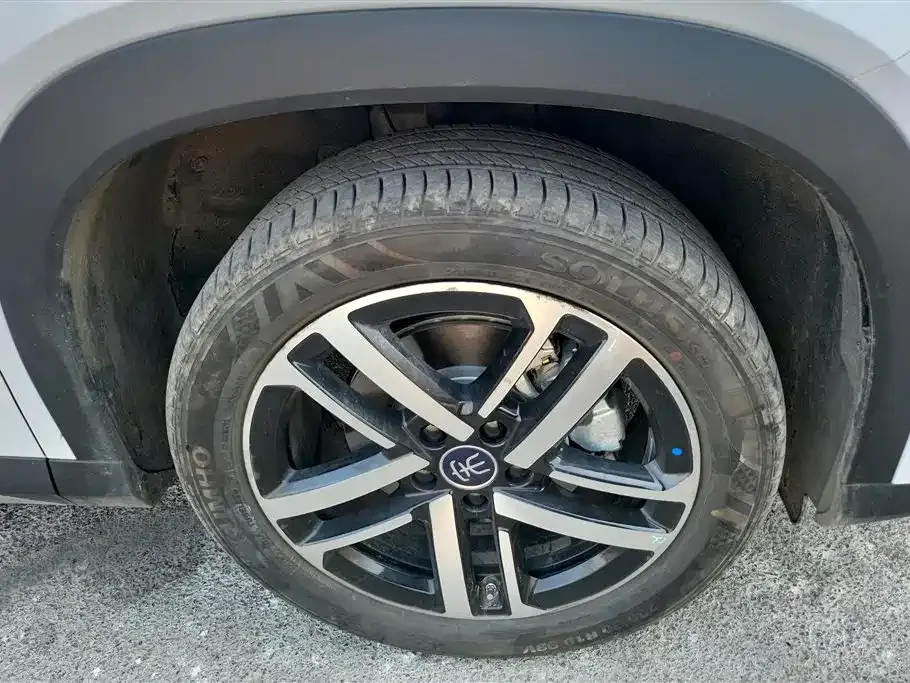 BYD L DM-i 2024 из CN, фото 2