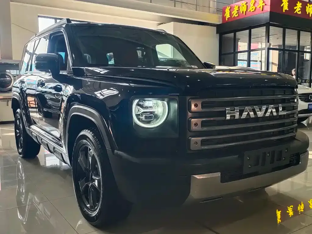 Haval Menglong New Energy — фото 3
