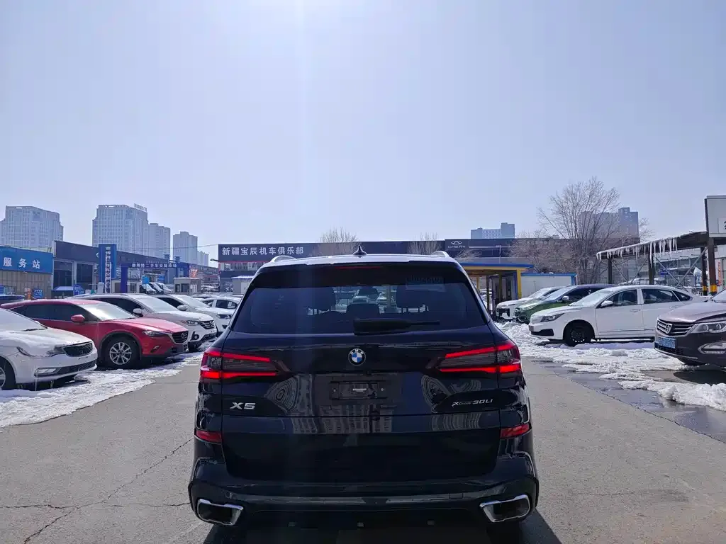 BMW X5 2023 из CN, фото 2
