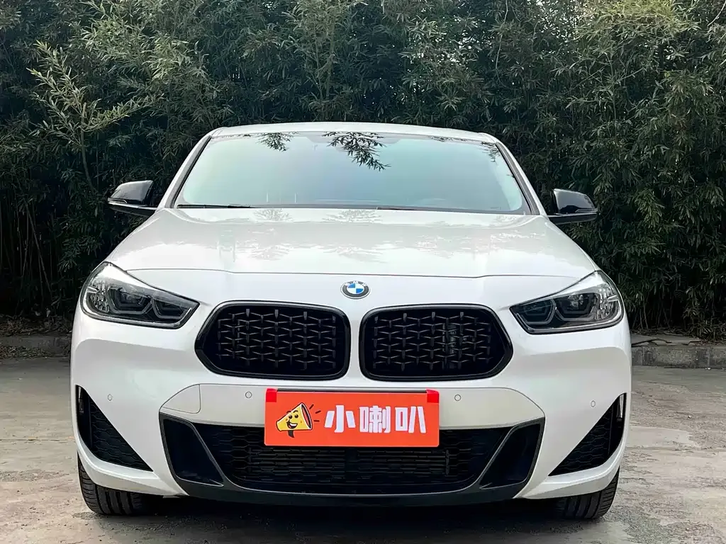 BMW X2 2023 из CN, фото 6