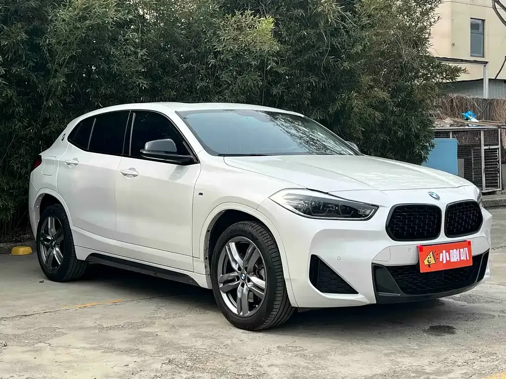BMW X2 2023 из CN, фото 10