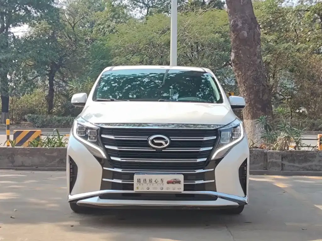 GAC Motor Trumpchi M8 2024 из CN, фото 4