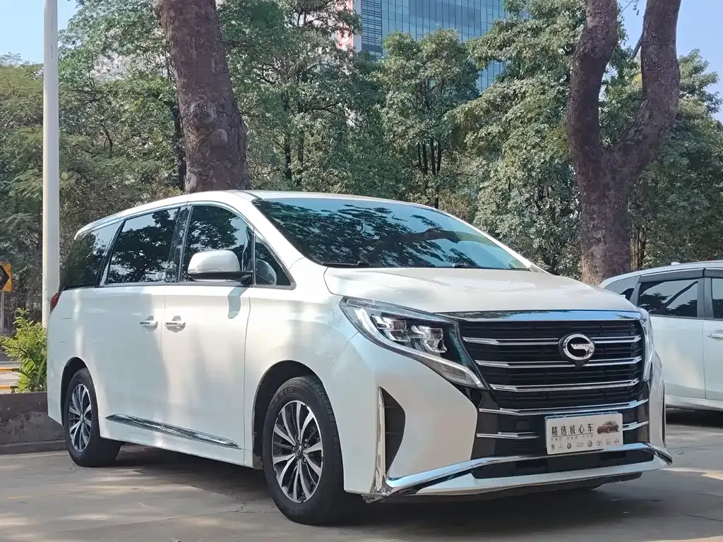 GAC Motor Trumpchi M8 2024 из CN, фото 10