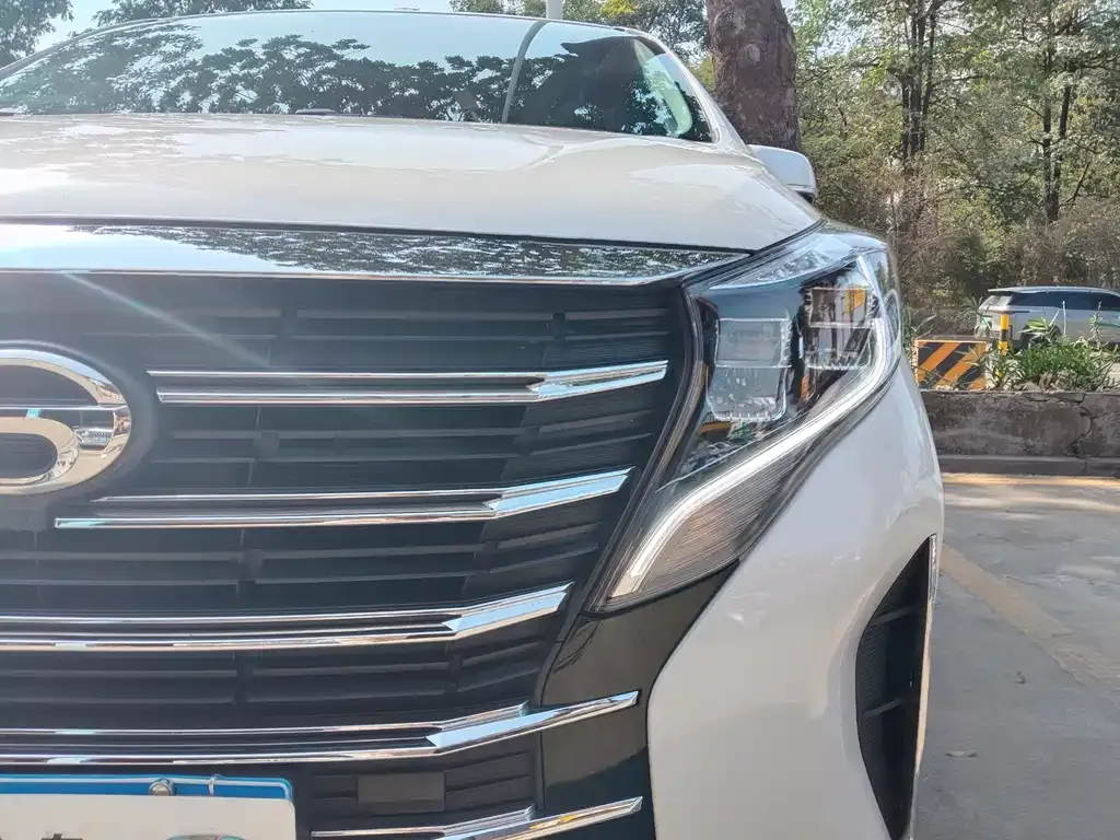 GAC Motor Trumpchi M8 2024 из CN, фото 6