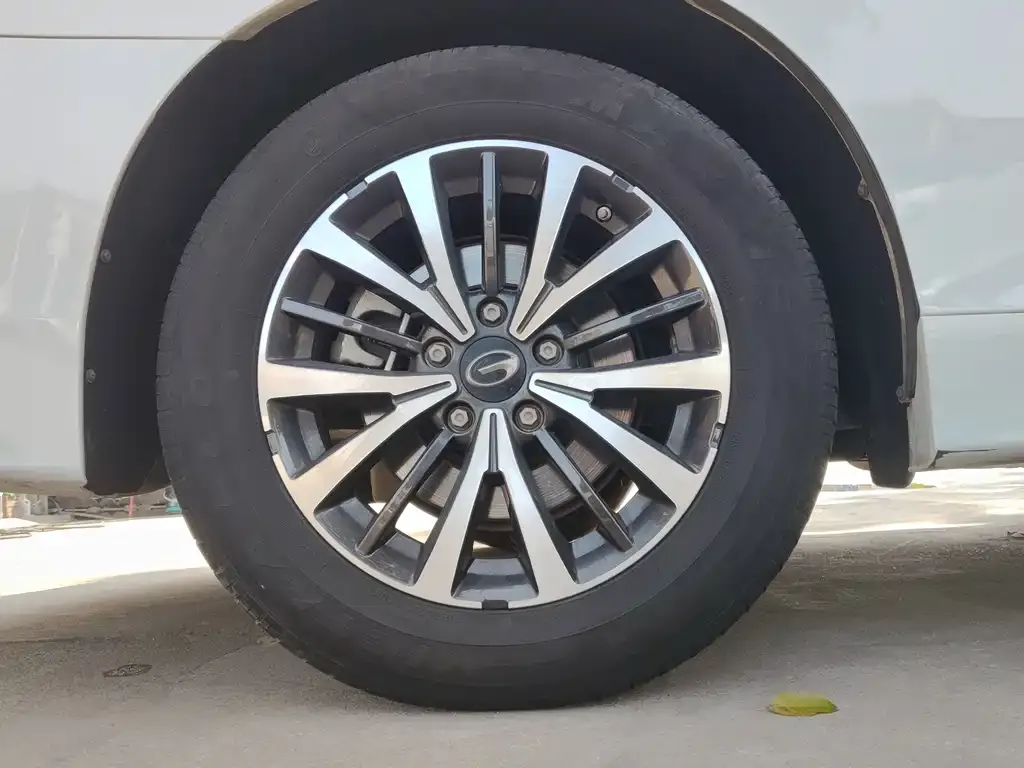 GAC Motor Trumpchi M8 2024 из CN, фото 2