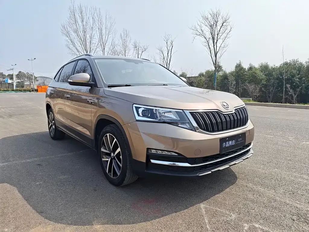 Skoda Kamiq — фото 3