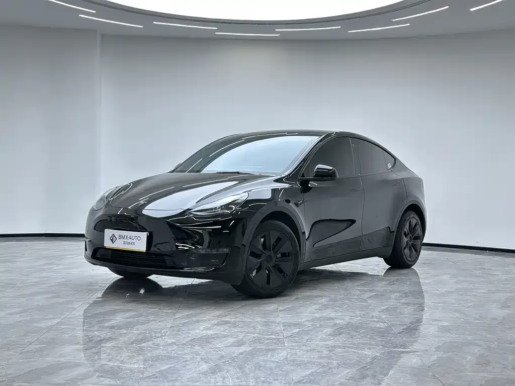Tesla Model Y — фото 1