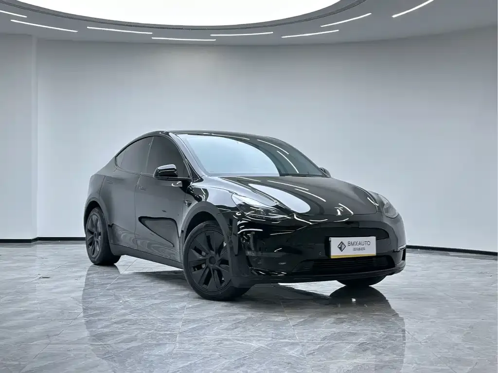 Tesla Model Y — фото 9