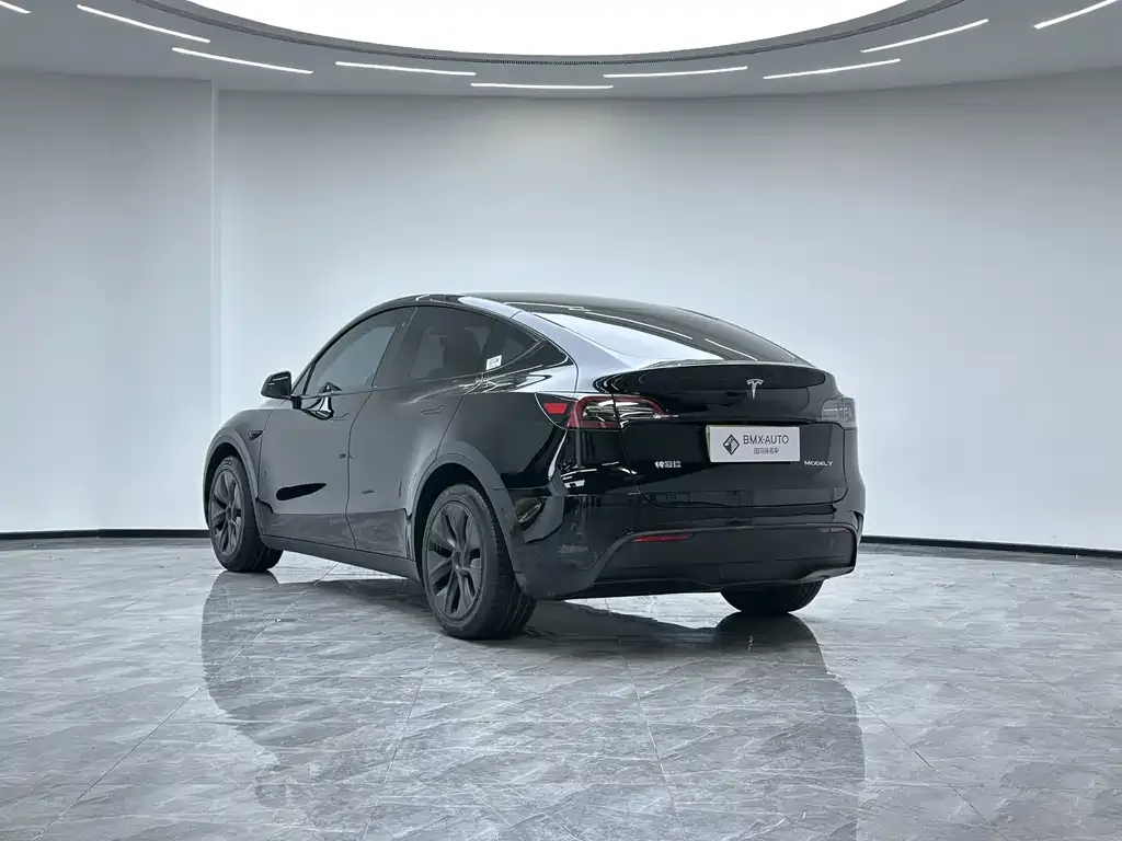 Tesla Model Y — фото 10
