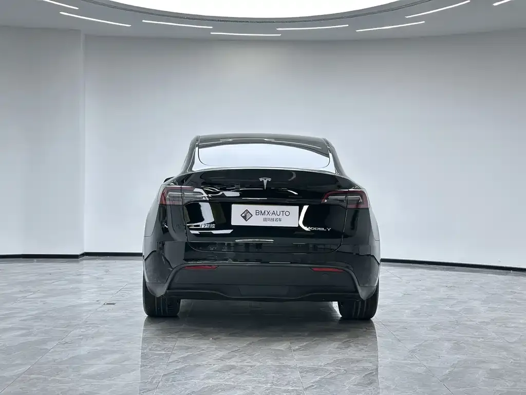 Tesla Model Y — фото 2