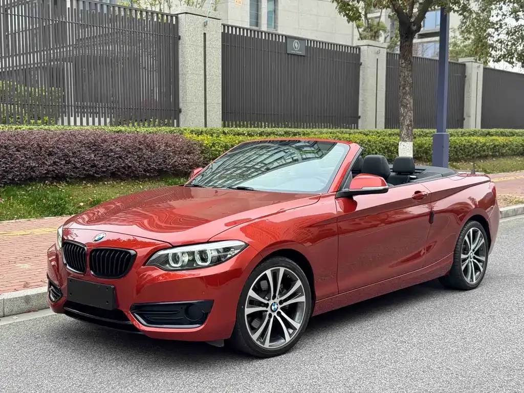 BMW 2 Series (Import)