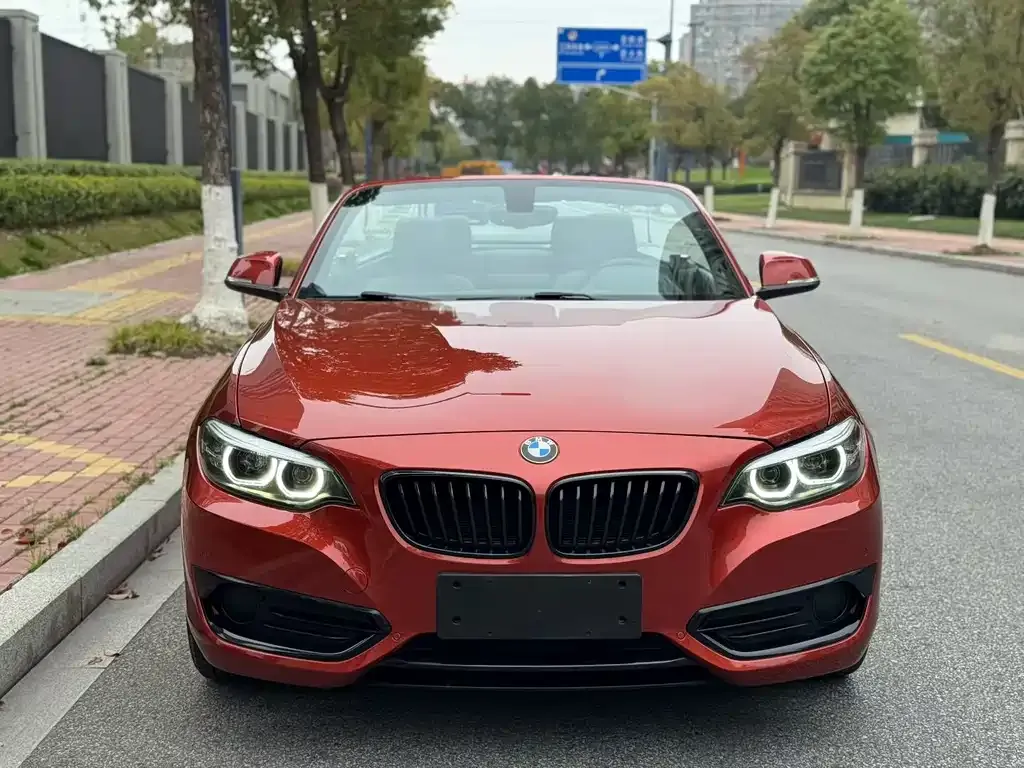 BMW 2 Series (Import) 2021 из CN, фото 4