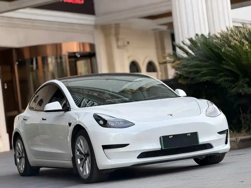 Tesla Model 3 2023 из CN, фото 2