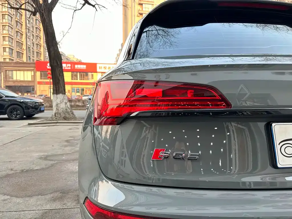 Audi SQ5 2022 из CN, фото 5