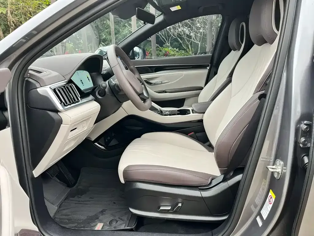 BYD PLUS New Energy — фото 2