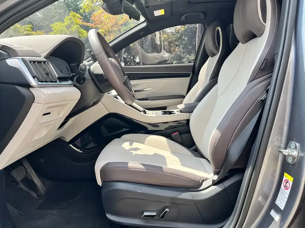 BYD PLUS New Energy 2025 из CN, фото 6