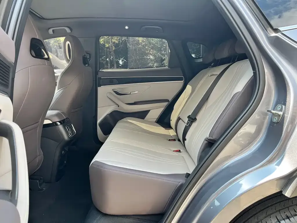 BYD PLUS New Energy 2025 из CN, фото 3