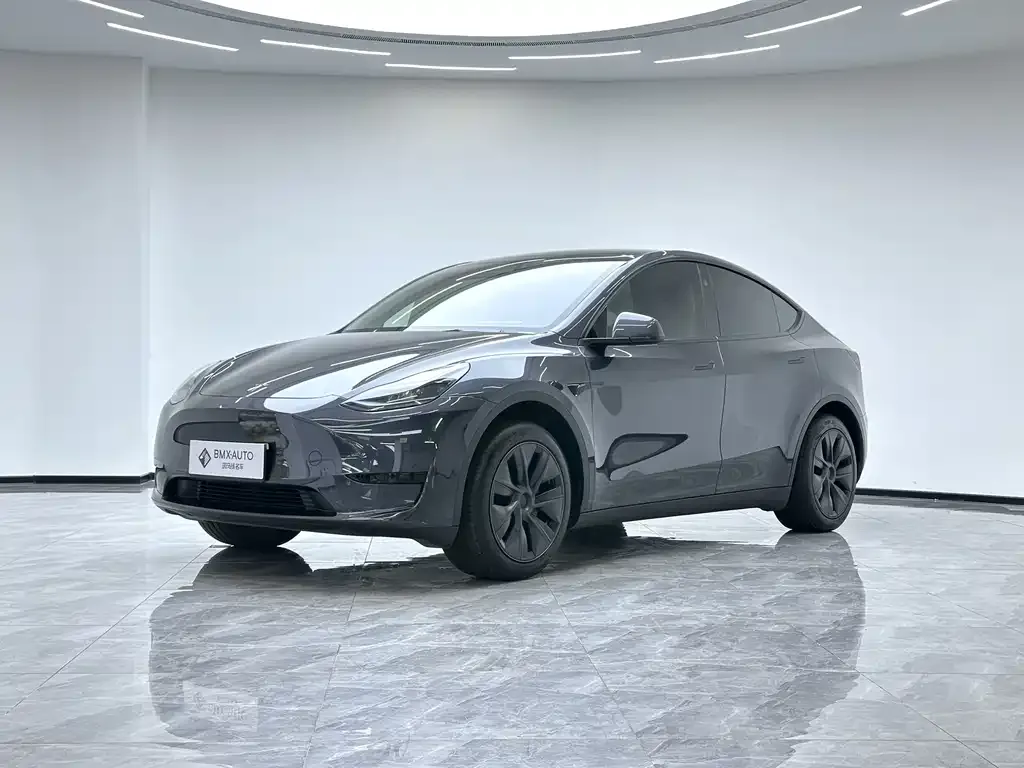 Tesla Model Y 2024 из CN, фото 1
