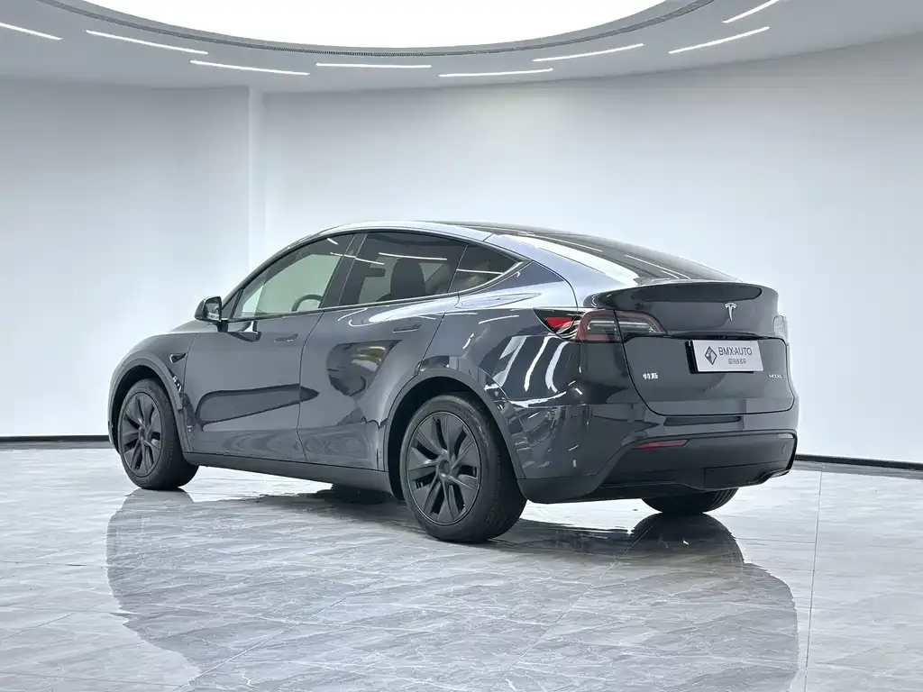 Tesla Model Y 2024 из CN, фото 9