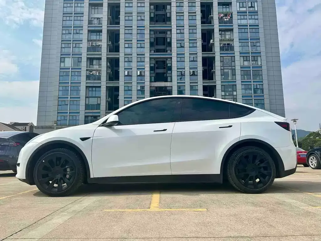 Tesla Model Y — фото 10