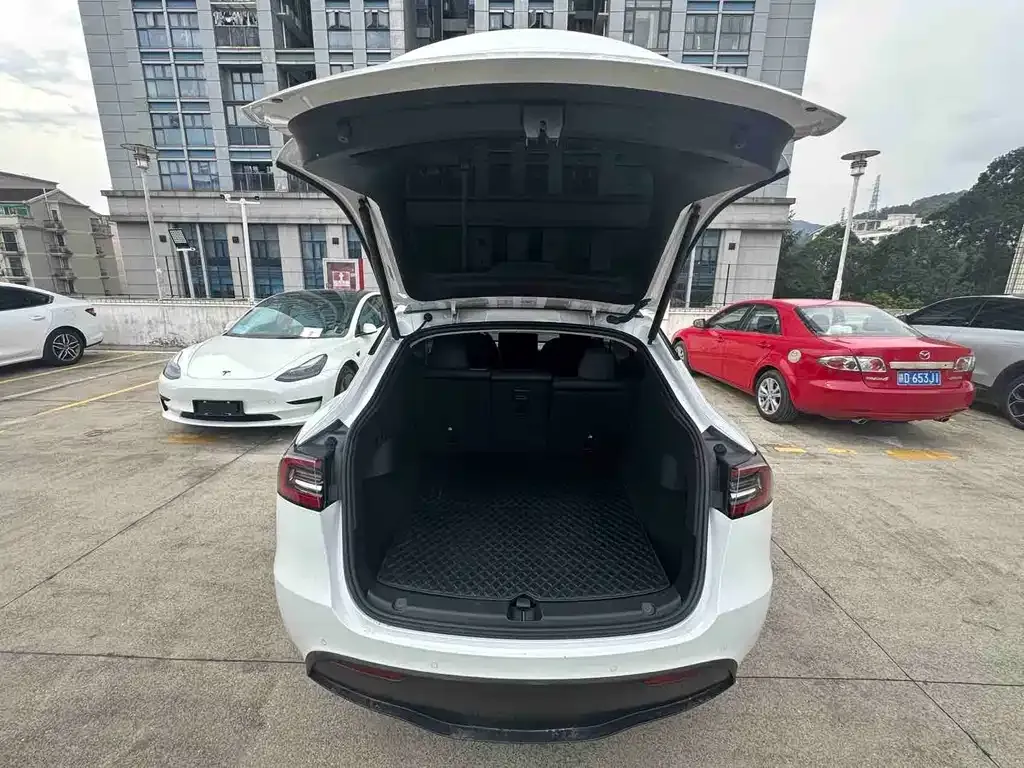 Tesla Model Y — фото 5