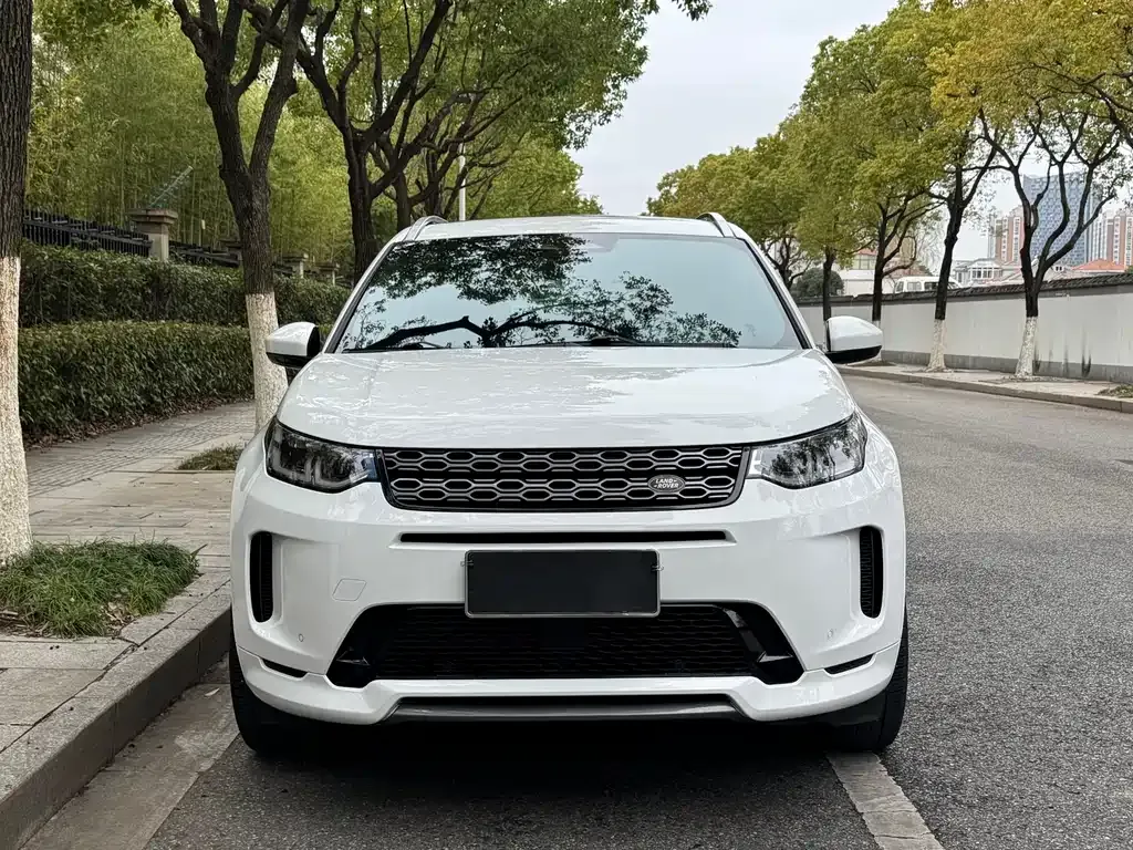 Land Rover Discovery Sport 2021 из CN, фото 6