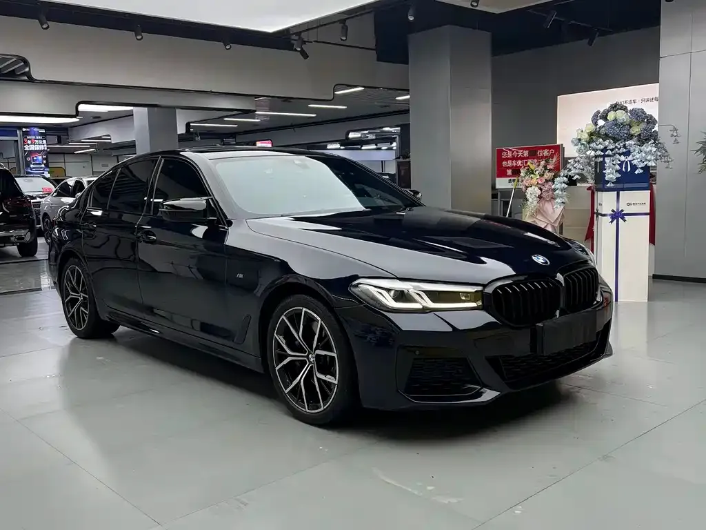 BMW 5 Series (Import) — фото 4