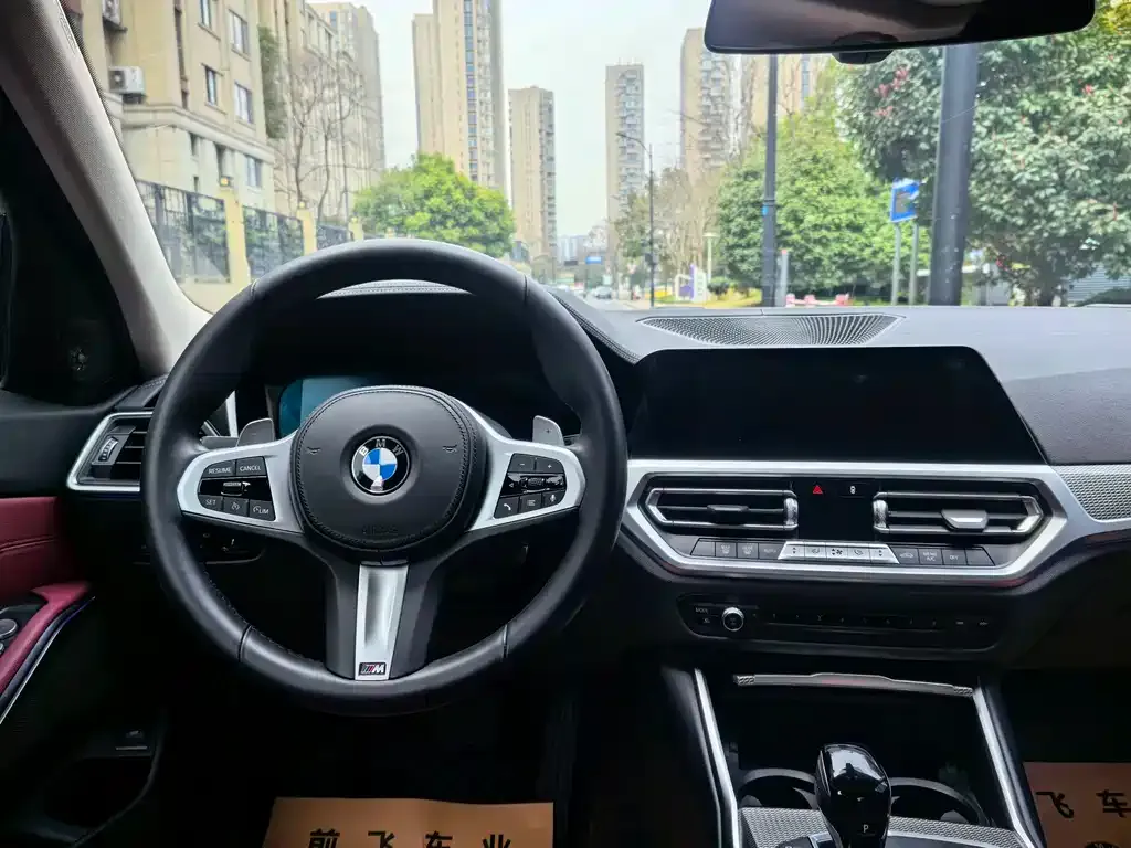 BMW 3 Series 2022 из CN, фото 6