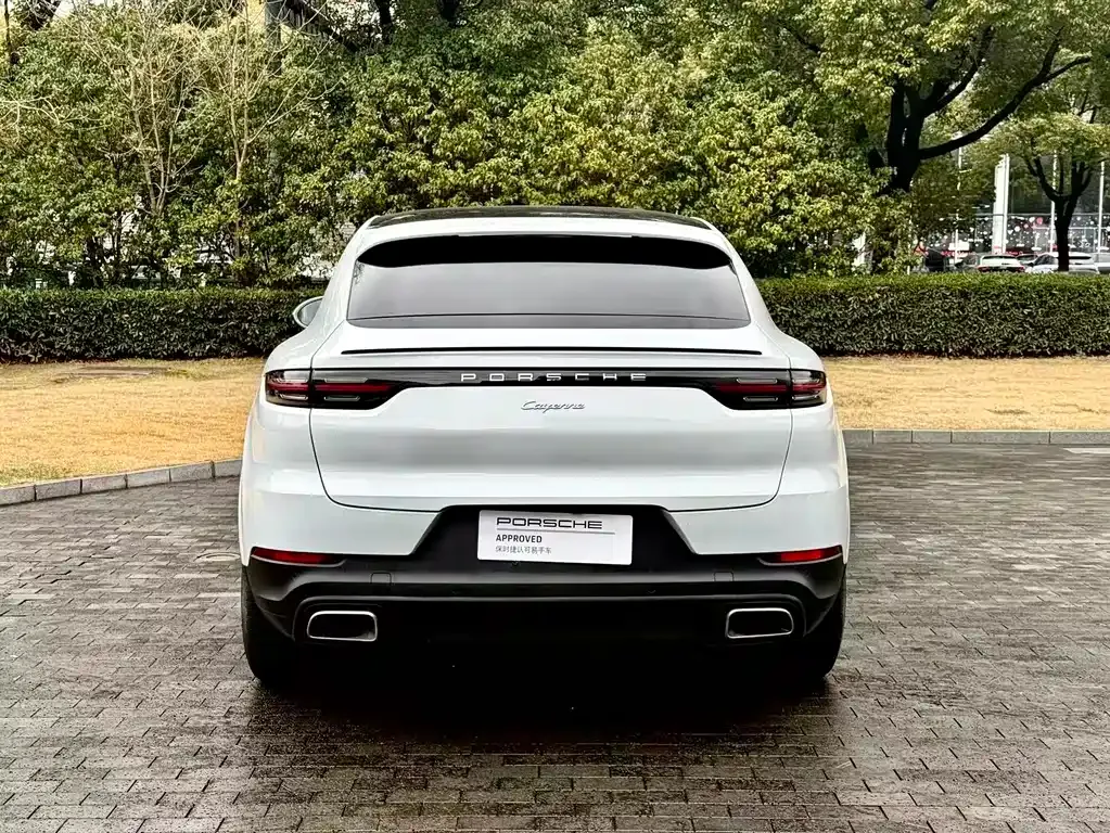 Porsche Cayenne — фото 10