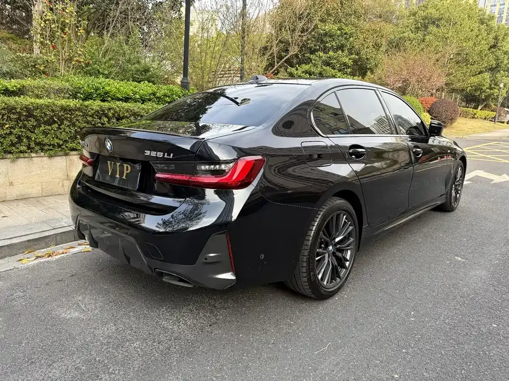 BMW 3 Series 2024 из CN, фото 9