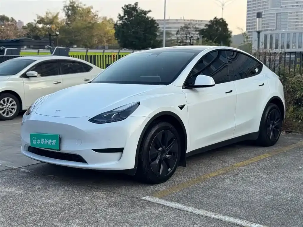 Tesla Model Y 2024 из CN, фото 1