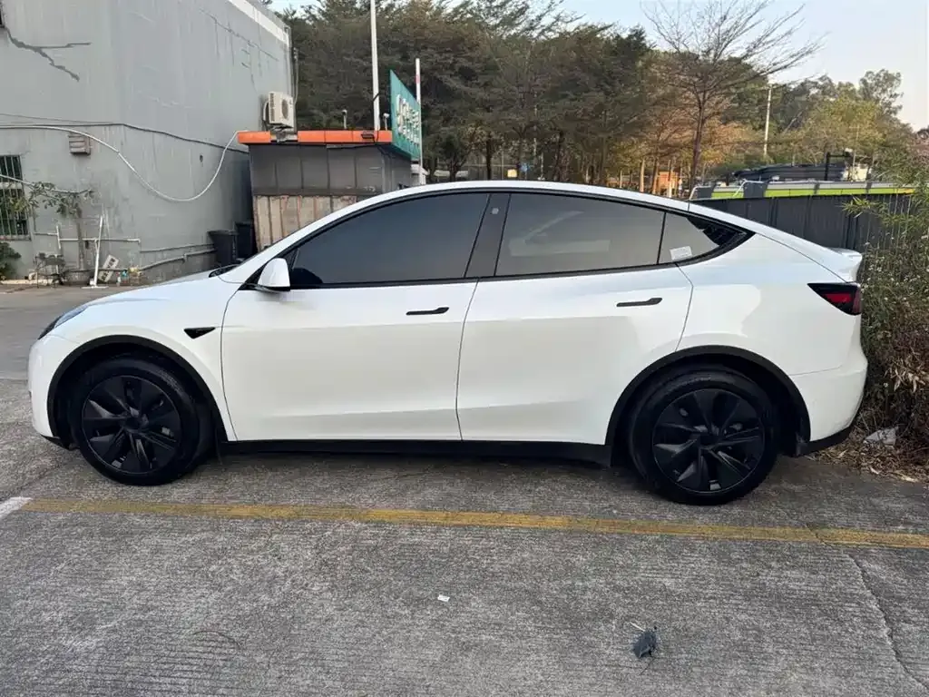 Tesla Model Y 2024 из CN, фото 9