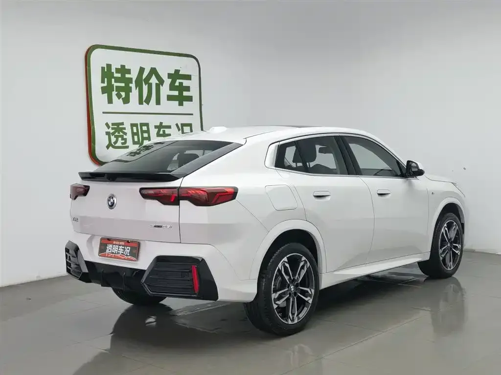 BMW X2 (Import) 2025 из CN, фото 5