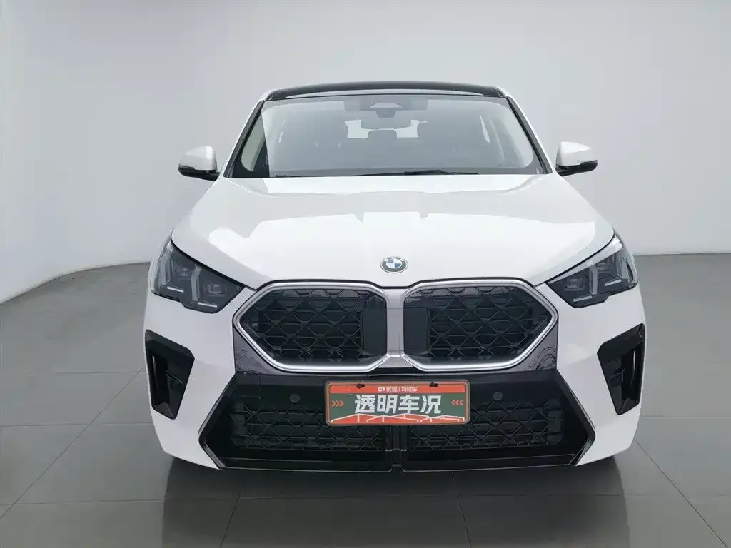 BMW X2 (Import) 2025 из CN, фото 2