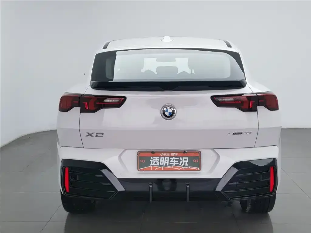 BMW X2 (Import) 2025 из CN, фото 6